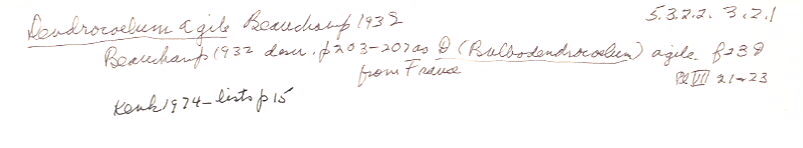 index card