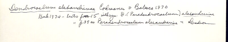 index card