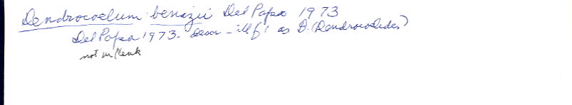index card