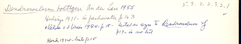 index card