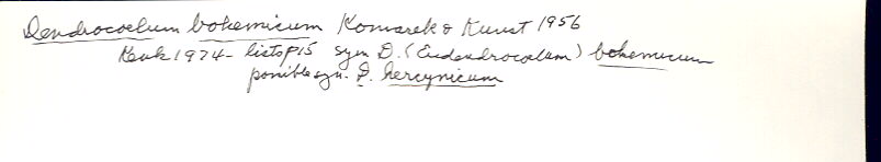 index card