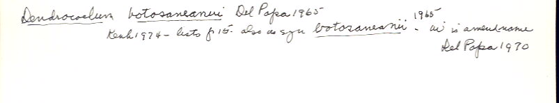 index card