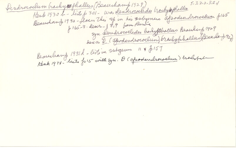 index card