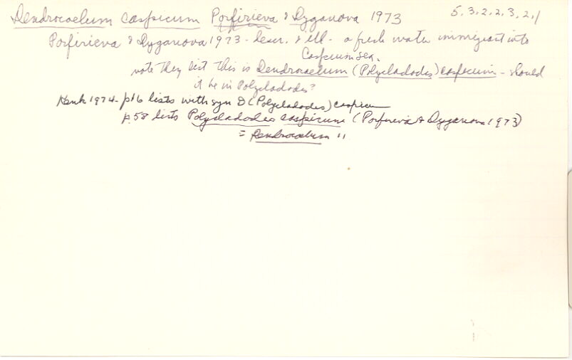 index card