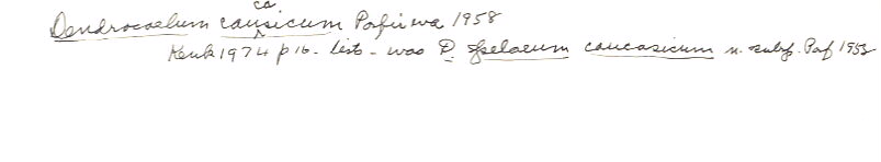 index card
