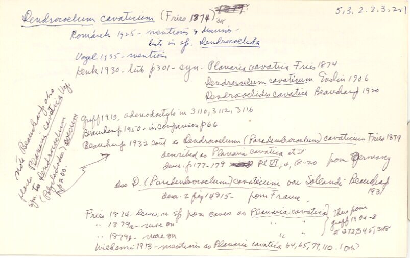 index card
