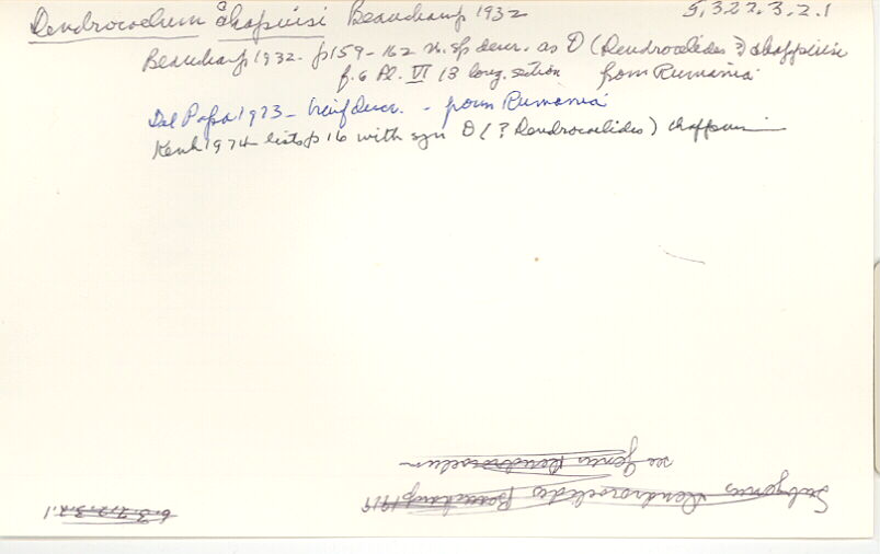 index card