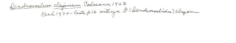 index card