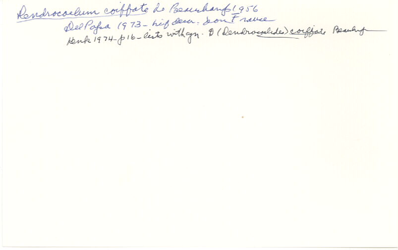 index card