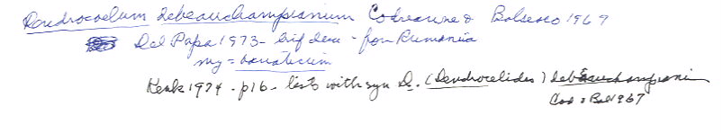 index card