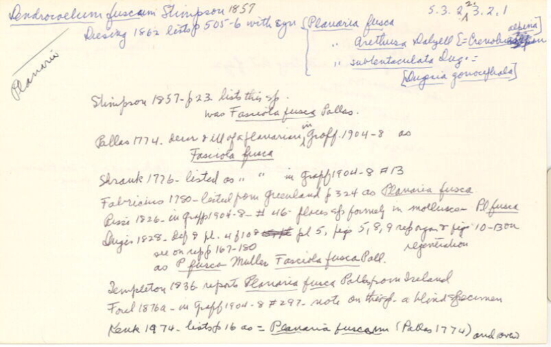 index card
