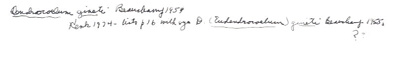 index card