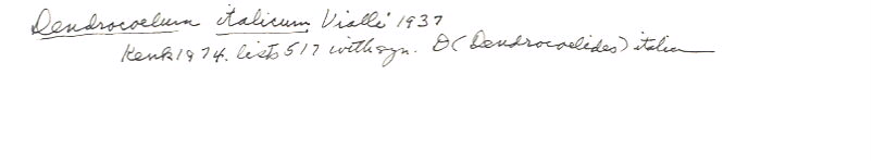 index card