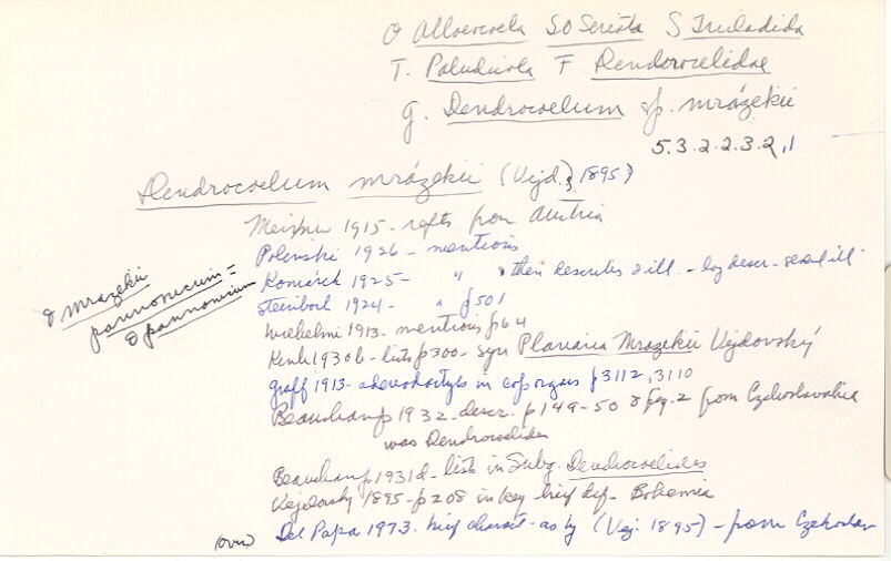 index card