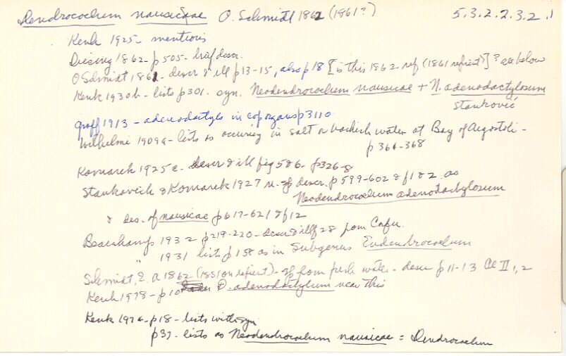 index card