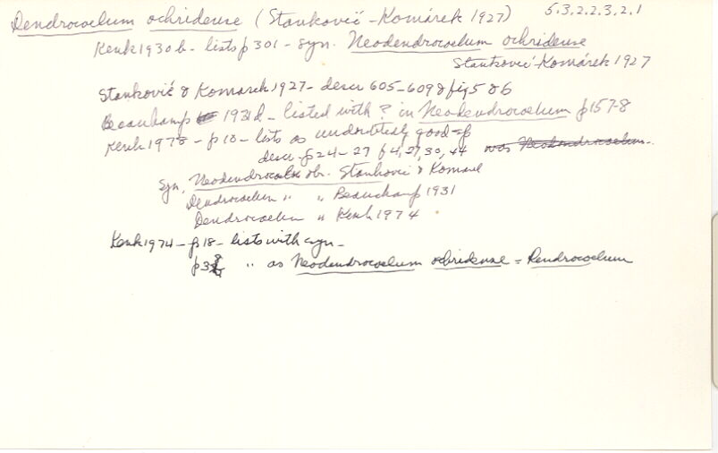 index card