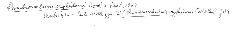 index card
