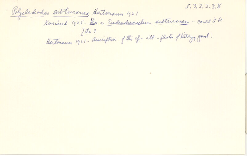 index card