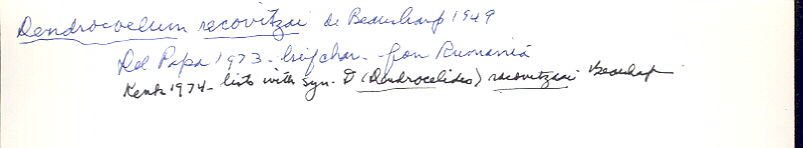 index card