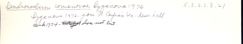 index card