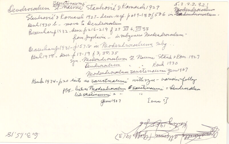 index card