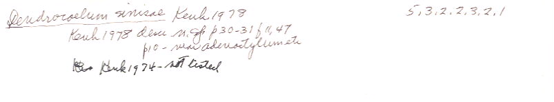 index card