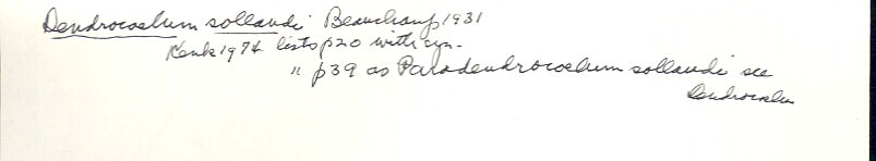 index card