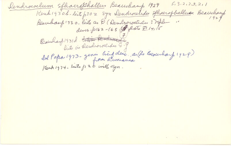 index card