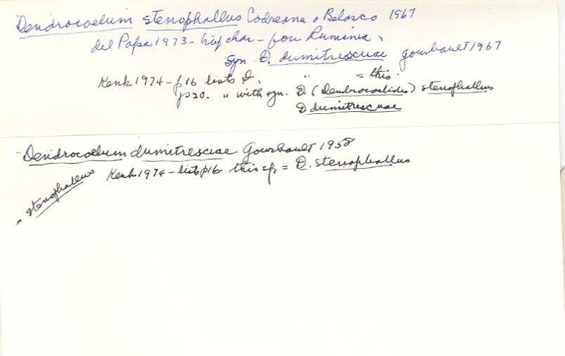 index card