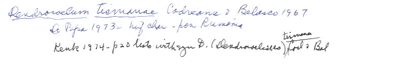 index card