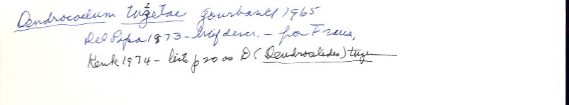 index card