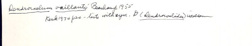 index card