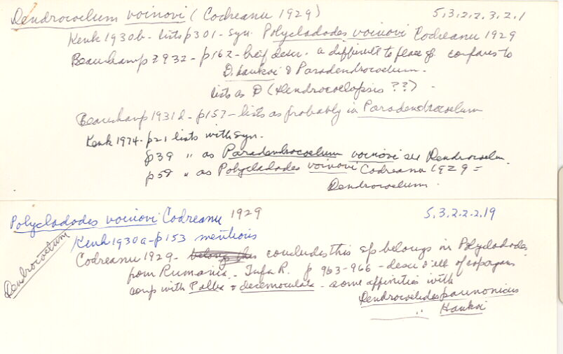 index card
