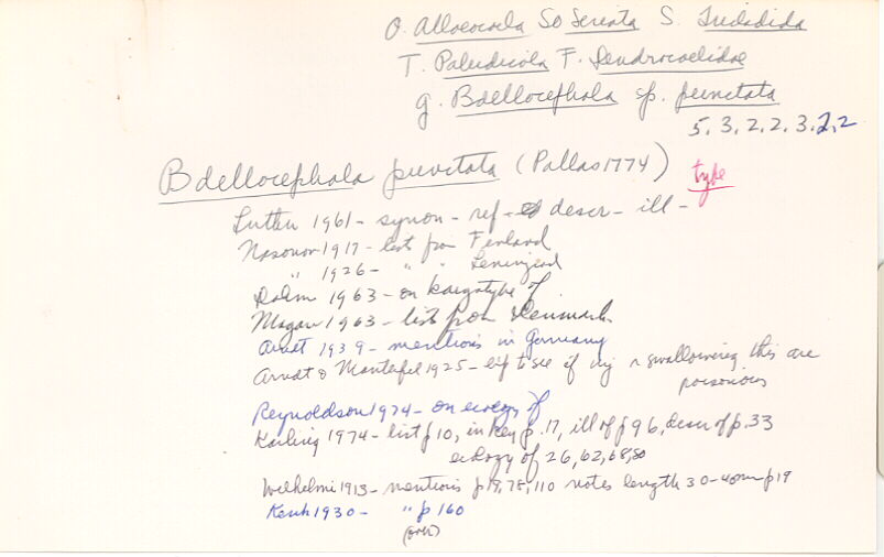 index card