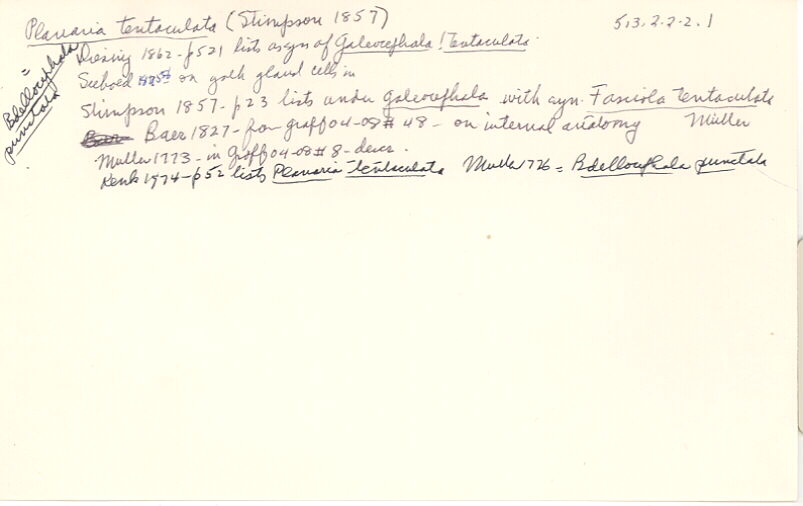 index card