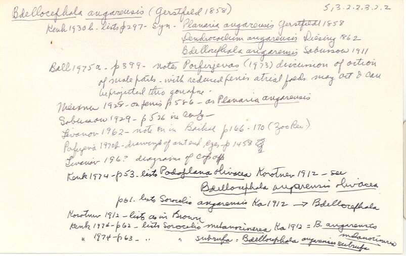 index card