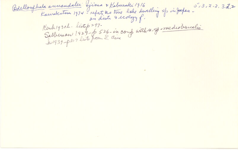 index card