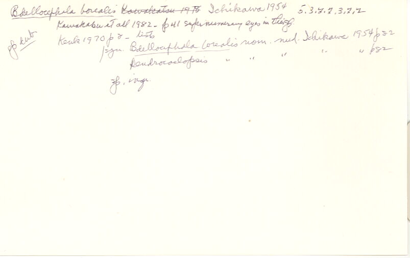 index card