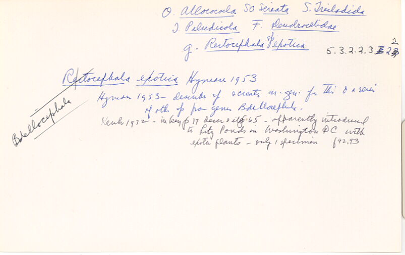 index card