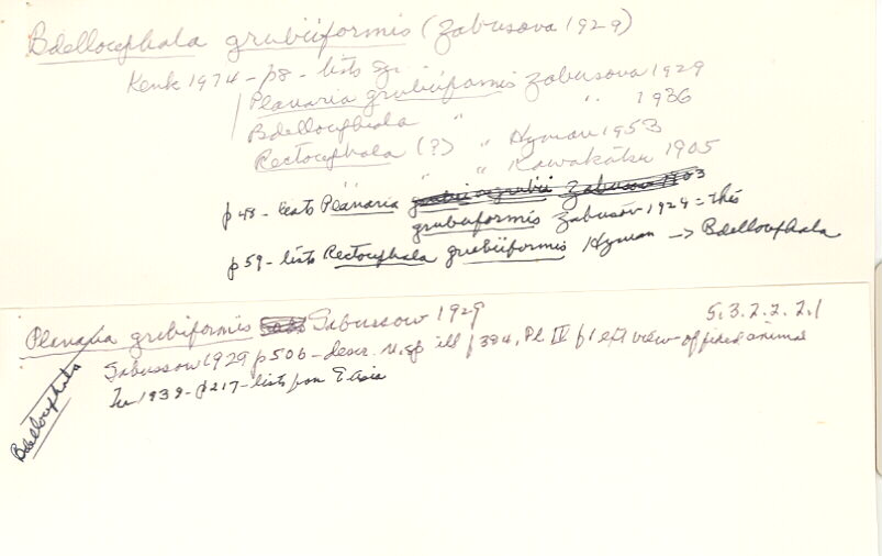 index card