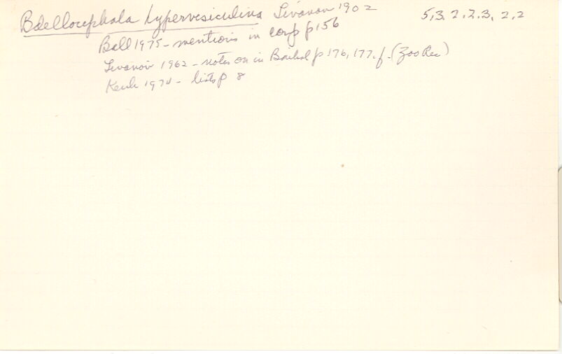 index card