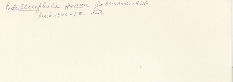index card