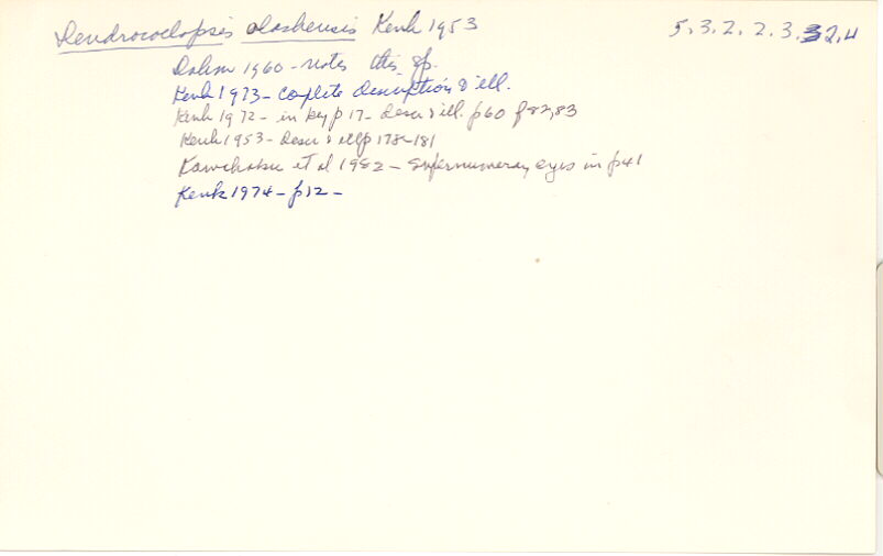 index card