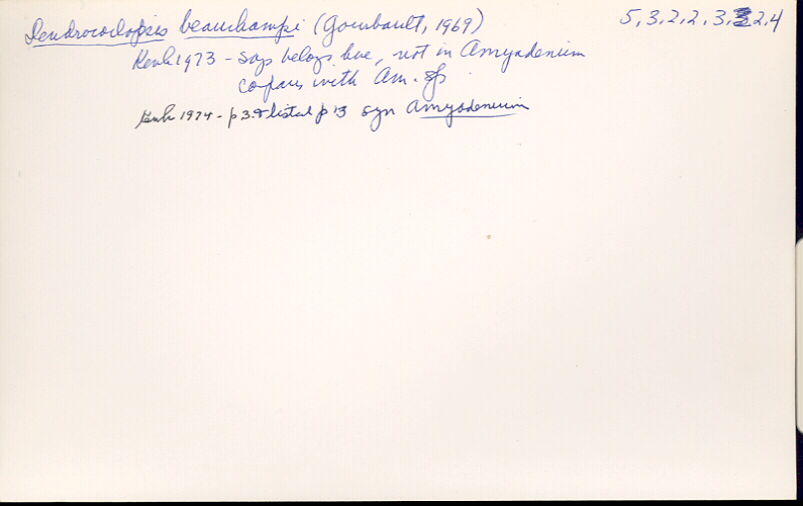 index card