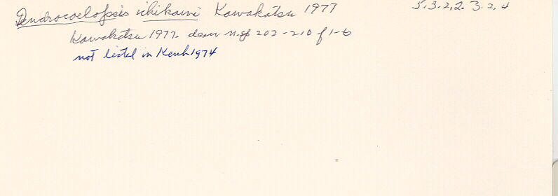 index card