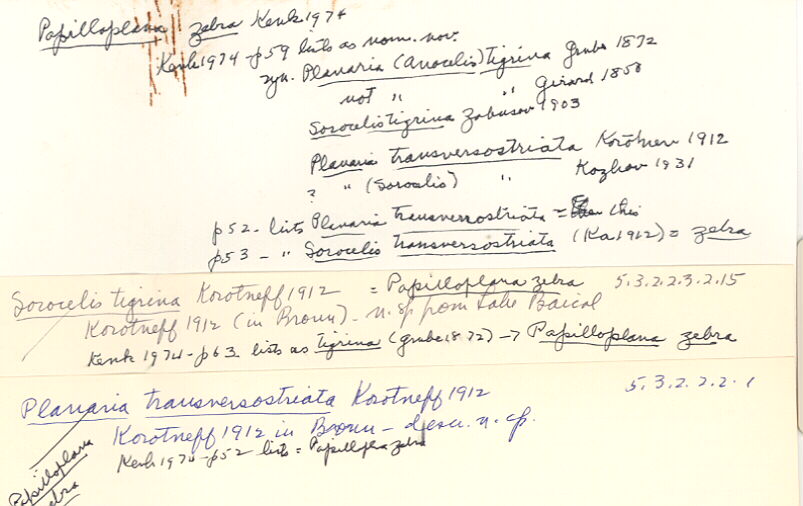 index card
