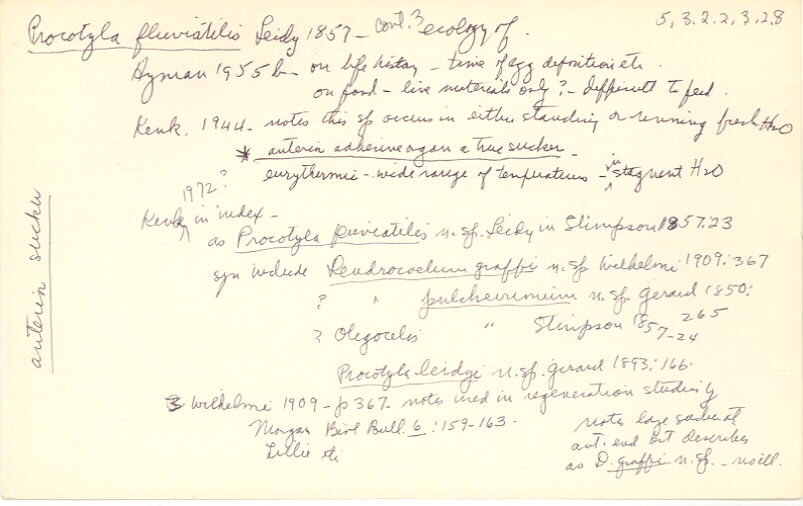 index card