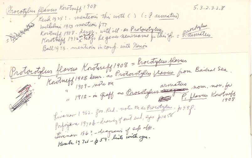 index card