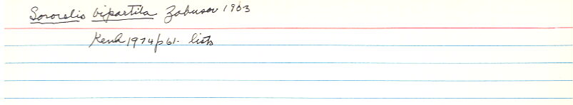 index card
