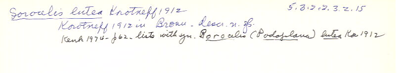 index card
